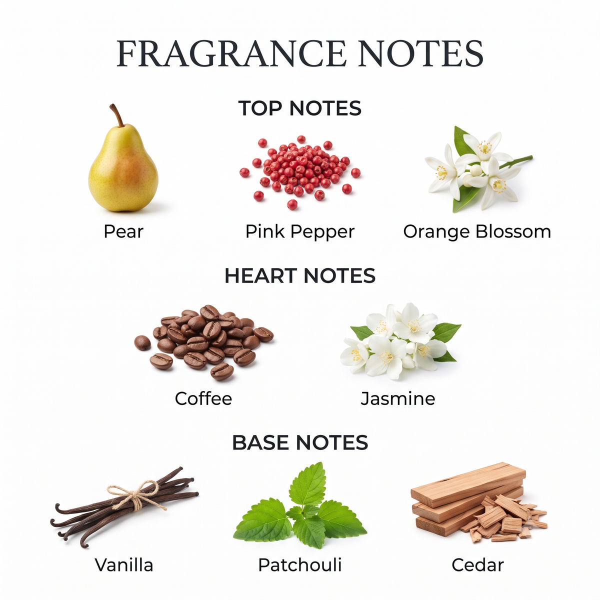 VANILLE NOIR | EAU DE PARFUM